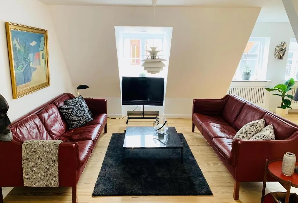 Luxury Apartment In The Heart Of Copenhagen-1