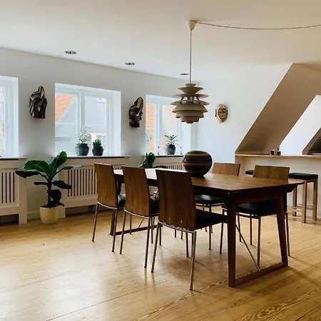 Luxury Apartment In The Heart Of Copenhagen-2