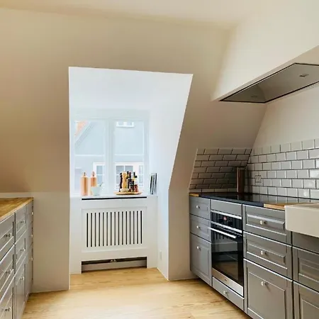 Luxury Apartment In The Heart Of Copenhagen-3